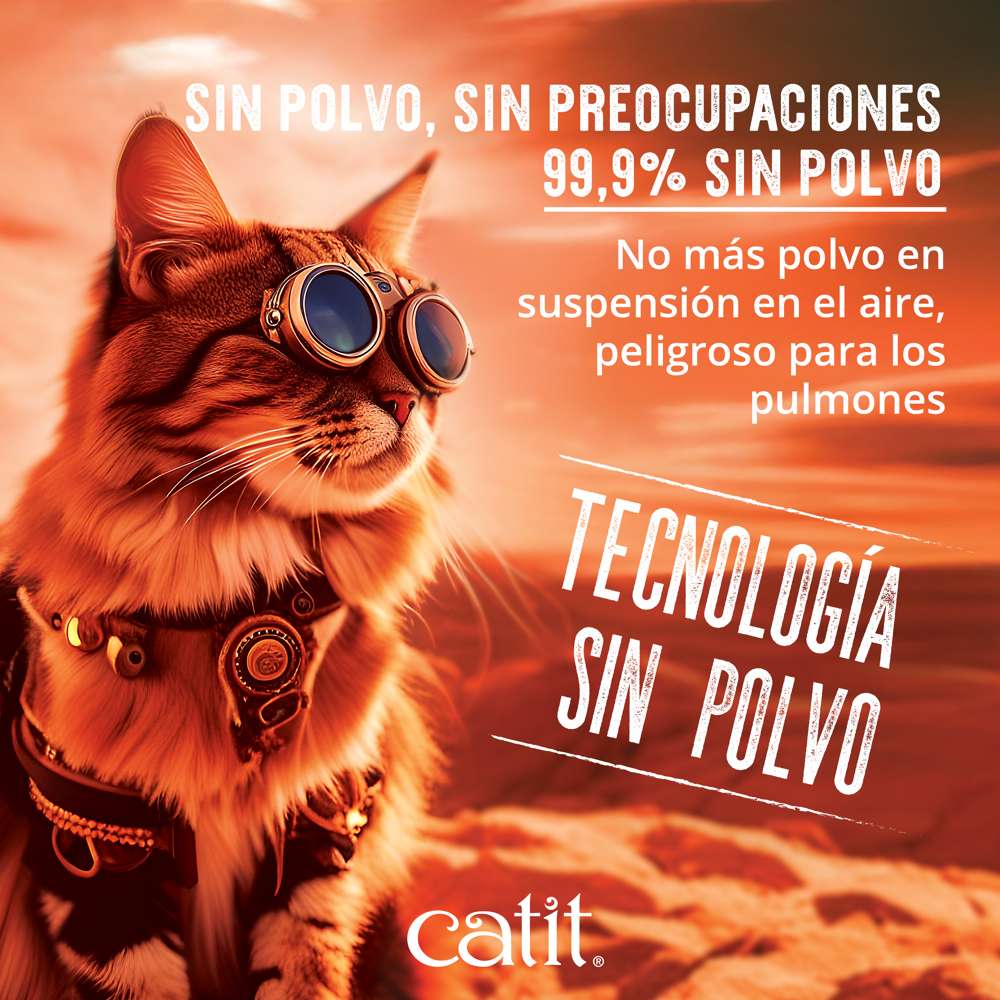 Imagen del producto 16